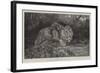 Stealthy Fate-John Trivett Nettleship-Framed Giclee Print