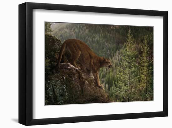 Stealthy-Steve Hunziker-Framed Art Print