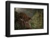 Stealthy-Steve Hunziker-Framed Art Print