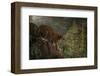 Stealthy-Steve Hunziker-Framed Art Print