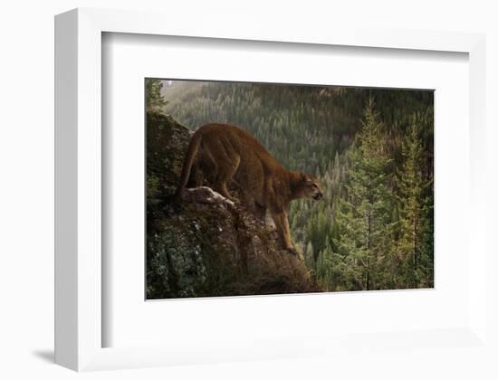 Stealthy-Steve Hunziker-Framed Art Print