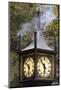 Steam clock, Gastown, Vancouver, British Columbia, Canada, North America-Richard Cummins-Mounted Photographic Print