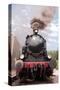 Steam Engine Front View-null-Stretched Canvas