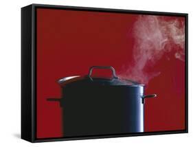 Steam Escaping from a Pan with a Lid-Hartmut Seehuber-Framed Stretched Canvas