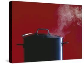 Steam Escaping from a Pan with a Lid-Hartmut Seehuber-Stretched Canvas