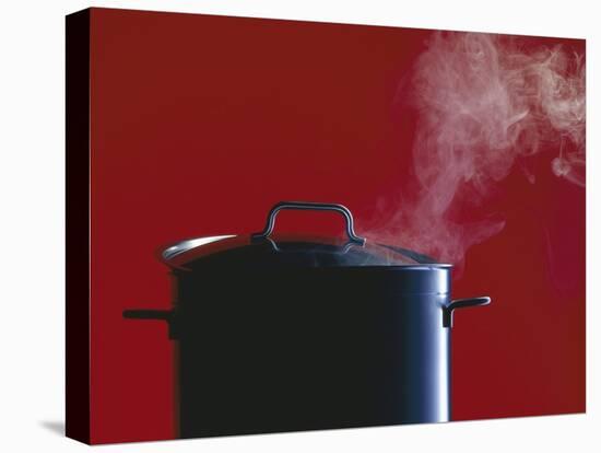 Steam Escaping from a Pan with a Lid-Hartmut Seehuber-Stretched Canvas