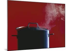 Steam Escaping from a Pan with a Lid-Hartmut Seehuber-Mounted Photographic Print