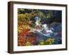 Steam Fumaroles, Jigokudani Geothermal Area, Noboribetsu Onsen, Shikotsu-Toya National Park, Japan-Tony Waltham-Framed Photographic Print