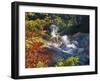 Steam Fumaroles, Jigokudani Geothermal Area, Noboribetsu Onsen, Shikotsu-Toya National Park, Japan-Tony Waltham-Framed Photographic Print