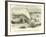 Steam Geyser of Karapiti,In New Zealand-null-Framed Giclee Print