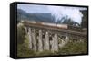 Steam Locomotive 1959-null-Framed Stretched Canvas