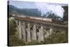 Steam Locomotive 1959-null-Stretched Canvas