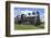 Steam Locomotive Built in Germany of the Russian Project-Sever180-Framed Photographic Print