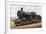 Steam Locomotive, City of Bath, England, Uk, 19th Century-null-Framed Giclee Print