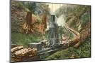 Wood Mount