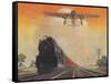 Steam Powered Locomotive and Ford Tri-Motor Airplane Speeding Through in Rural Landscape-null-Framed Stretched Canvas