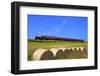 Steam Railway, Port Soderick, Isle of Man, Europe-Neil Farrin-Framed Photographic Print