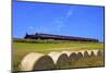 Steam Railway, Port Soderick, Isle of Man, Europe-Neil Farrin-Mounted Photographic Print