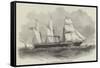 Steam to the Mediterranean, the Arabian Screw-Steamer-null-Framed Stretched Canvas