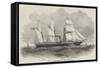 Steam to the Mediterranean, the Arabian Screw-Steamer-null-Framed Stretched Canvas