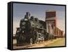 Steam Train and Grain Elevator in Western Development Museum, Saskatchewan, Canada-Walter Bibikow-Framed Stretched Canvas