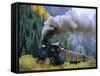 Steam Train, Durango & Silverton Railroad, Silverton, Colorado, USA-Jean Brooks-Framed Stretched Canvas