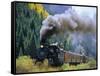 Steam Train, Durango & Silverton Railroad, Silverton, Colorado, USA-Jean Brooks-Framed Stretched Canvas