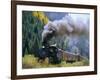 Steam Train, Durango & Silverton Railroad, Silverton, Colorado, USA-Jean Brooks-Framed Photographic Print