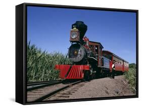 Steam Train from 1860, Reconstructed 1970, Maui Island, Hawaii, USA-Ursula Gahwiler-Framed Stretched Canvas
