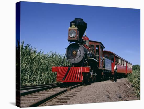 Steam Train from 1860, Reconstructed 1970, Maui Island, Hawaii, USA-Ursula Gahwiler-Stretched Canvas