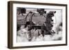 Steam Train II-Kathy Mahan-Framed Photographic Print