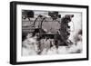 Steam Train II-Kathy Mahan-Framed Photographic Print