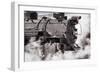 Steam Train II-Kathy Mahan-Framed Photographic Print