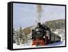 Steam Train, Oberwiesenthal - Cranzhal (Fichtelbergbahn), Germany-phbcz-Framed Stretched Canvas