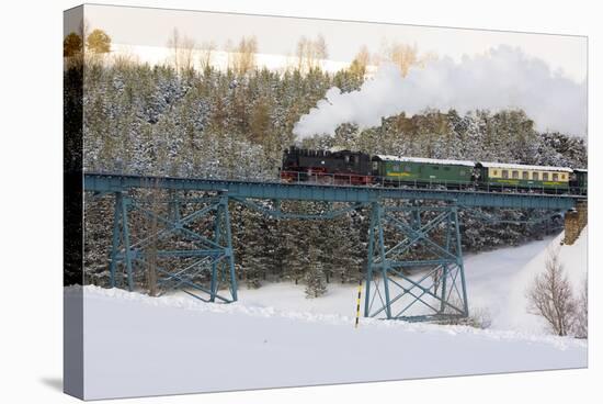 Steam Train, Oberwiesenthal - Cranzhal (Fichtelbergbahn), Germany-phbcz-Stretched Canvas