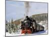 Steam Train, Oberwiesenthal - Cranzhal (Fichtelbergbahn), Germany-phbcz-Mounted Photographic Print