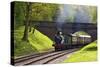 Steam Train on Bluebell Railway, Horsted Keynes, West Sussex, England, United Kingdom, Europe-Neil Farrin-Stretched Canvas