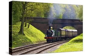 Steam Train on Bluebell Railway, Horsted Keynes, West Sussex, England, United Kingdom, Europe-Neil Farrin-Stretched Canvas