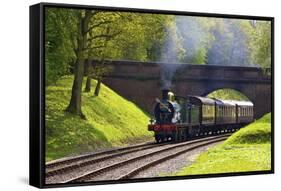 Steam Train on Bluebell Railway, Horsted Keynes, West Sussex, England, United Kingdom, Europe-Neil Farrin-Framed Stretched Canvas