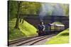 Steam Train on Bluebell Railway, Horsted Keynes, West Sussex, England, United Kingdom, Europe-Neil Farrin-Stretched Canvas