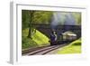 Steam Train on Bluebell Railway, Horsted Keynes, West Sussex, England, United Kingdom, Europe-Neil Farrin-Framed Photographic Print