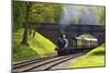 Steam Train on Bluebell Railway, Horsted Keynes, West Sussex, England, United Kingdom, Europe-Neil Farrin-Mounted Photographic Print