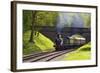 Steam Train on Bluebell Railway, Horsted Keynes, West Sussex, England, United Kingdom, Europe-Neil Farrin-Framed Photographic Print