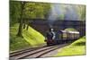 Steam Train on Bluebell Railway, Horsted Keynes, West Sussex, England, United Kingdom, Europe-Neil Farrin-Mounted Photographic Print