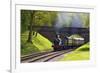 Steam Train on Bluebell Railway, Horsted Keynes, West Sussex, England, United Kingdom, Europe-Neil Farrin-Framed Photographic Print