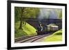 Steam Train on Bluebell Railway, Horsted Keynes, West Sussex, England, United Kingdom, Europe-Neil Farrin-Framed Photographic Print