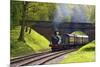 Steam Train on Bluebell Railway, Horsted Keynes, West Sussex, England, United Kingdom, Europe-Neil Farrin-Mounted Photographic Print