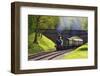 Steam Train on Bluebell Railway, Horsted Keynes, West Sussex, England, United Kingdom, Europe-Neil Farrin-Framed Photographic Print