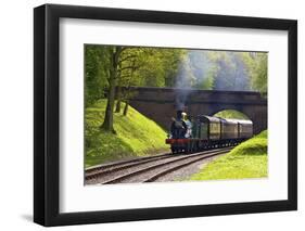 Steam Train on Bluebell Railway, Horsted Keynes, West Sussex, England, United Kingdom, Europe-Neil Farrin-Framed Photographic Print