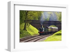 Steam Train on Bluebell Railway, Horsted Keynes, West Sussex, England, United Kingdom, Europe-Neil Farrin-Framed Photographic Print